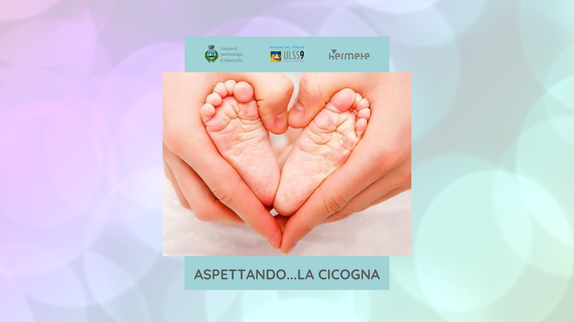 Read more about the article Spazio Cicogna autunno 2021